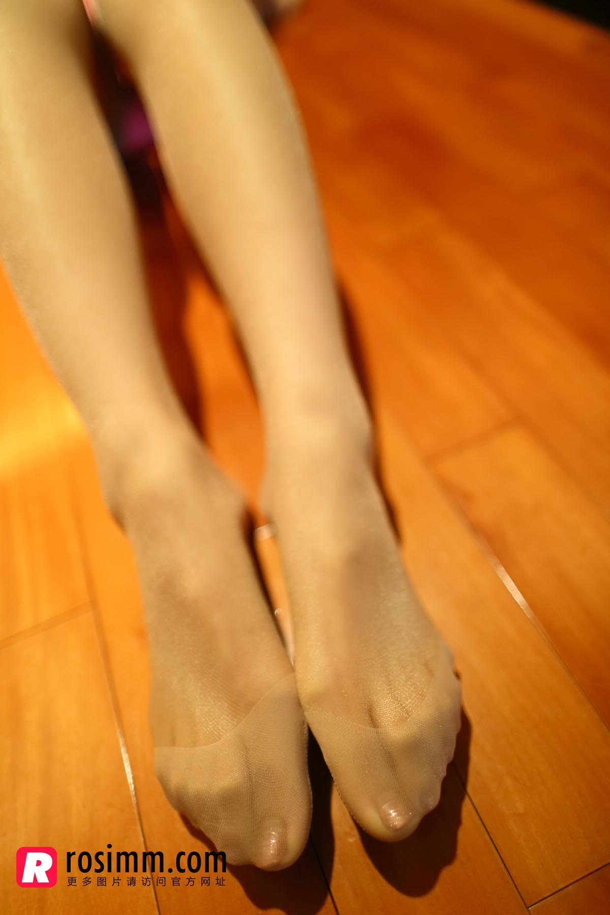 [ROSI写真]2014.01.04 NO.760 预览图 - 2