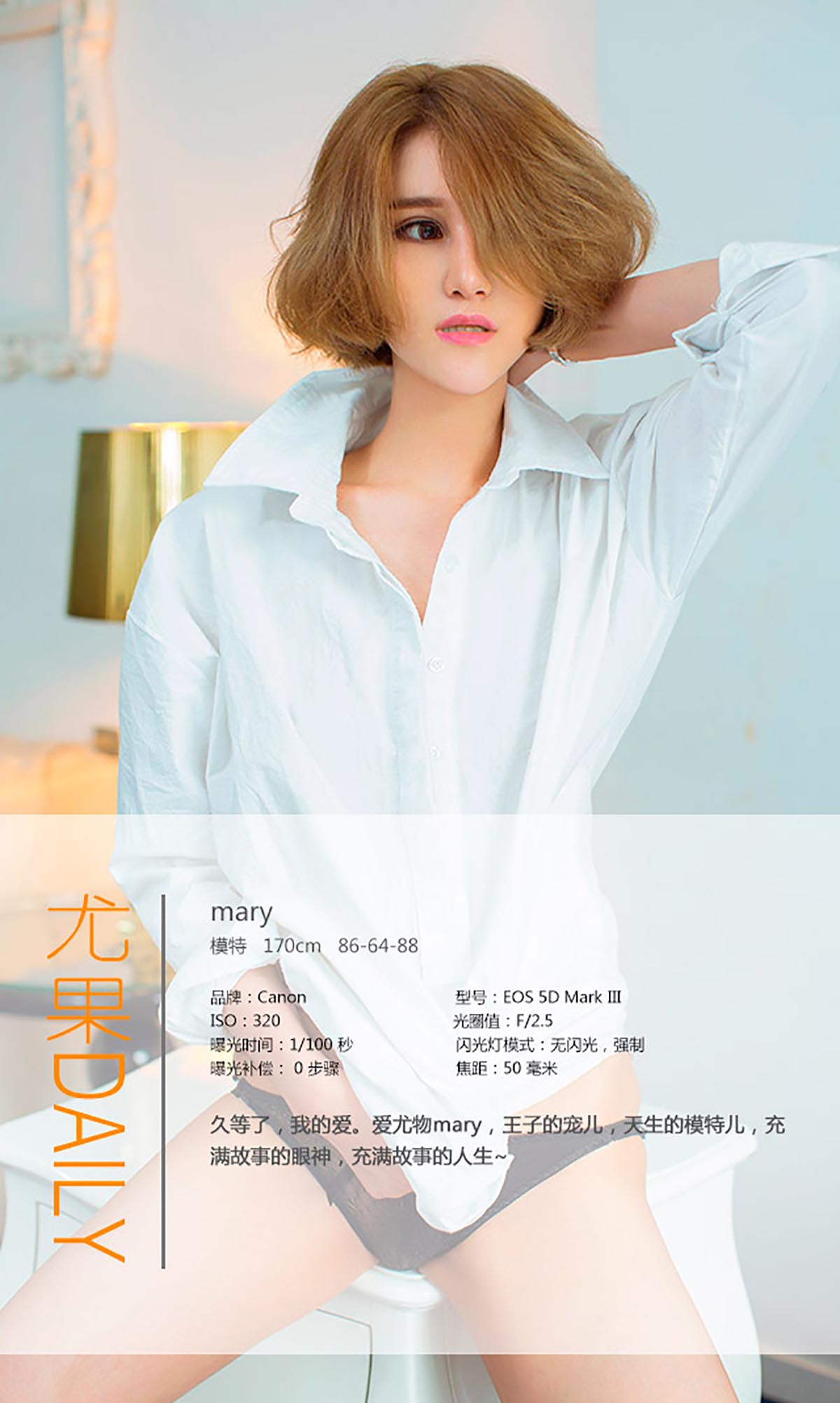 [爱尤物]2015 NO.083 Mary 预览图 - 4
