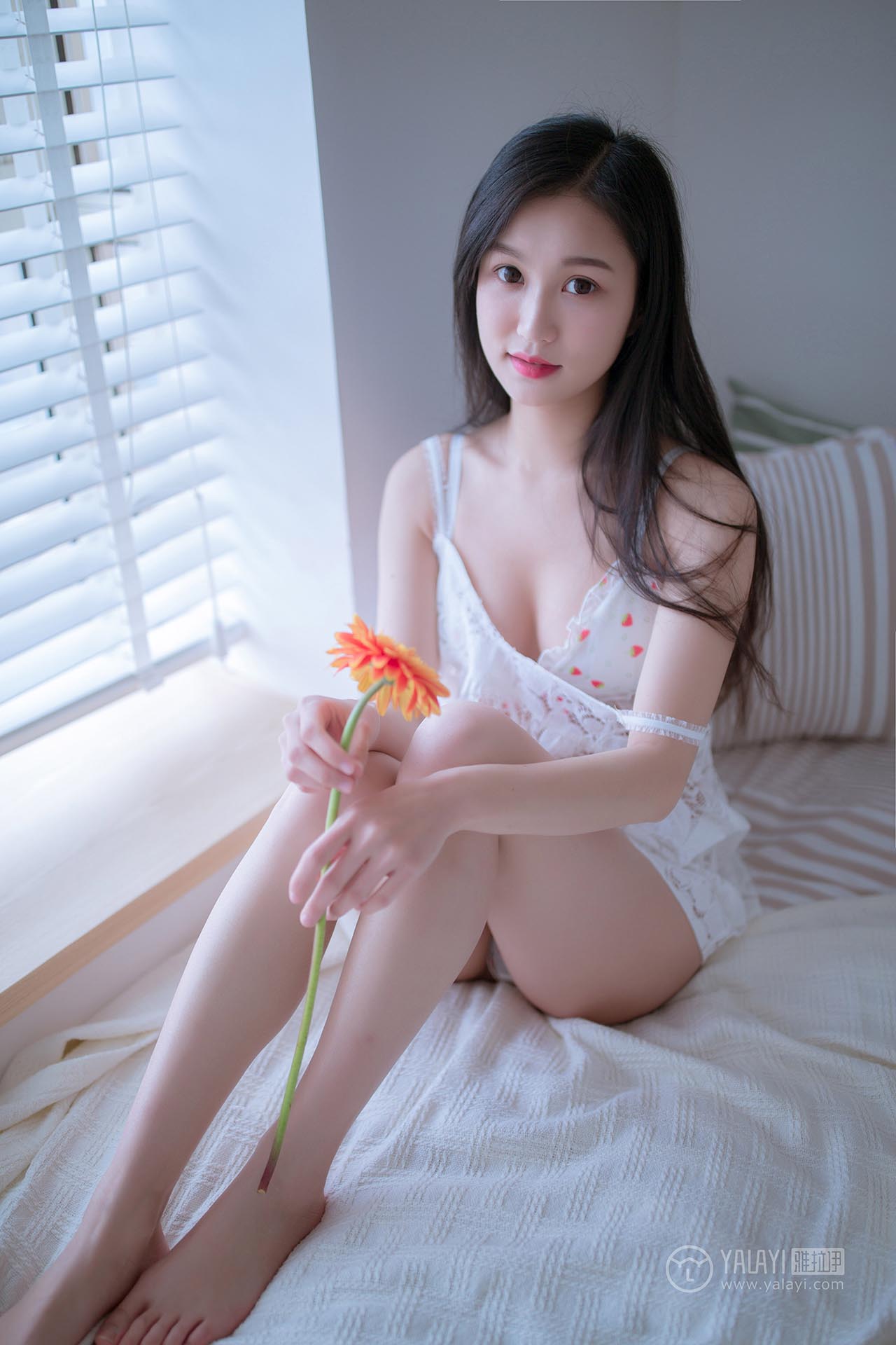 [YALAYI雅拉伊]2019.02.14 NO.185 你是我手里那束花 仙女不会灰 预览图 - 2