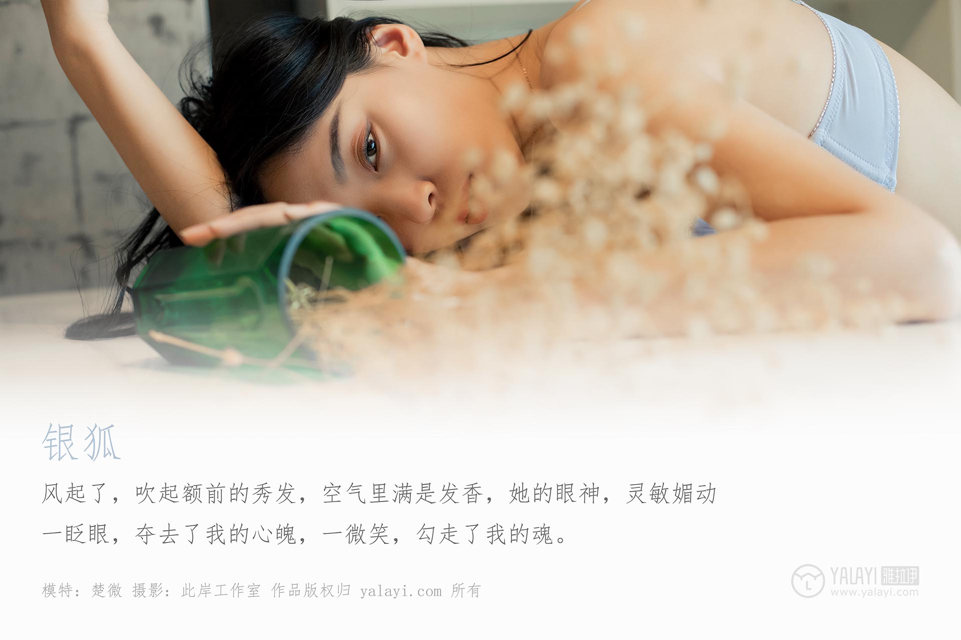 [YALAYI雅拉伊]2019.06.30 NO.324 楚薇《银狐》