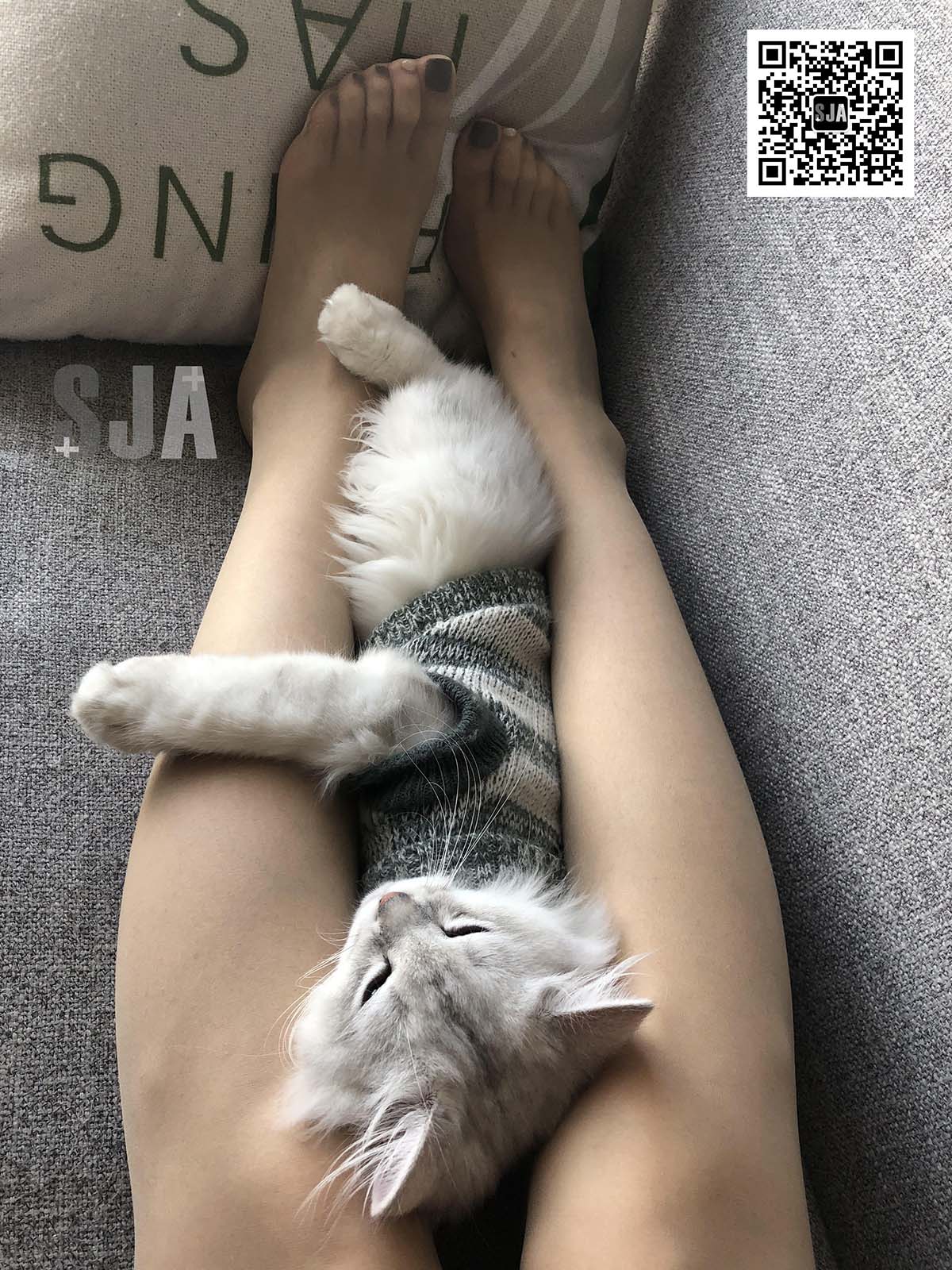 [SJA佳爷]闺蜜视角 NO.013 《喵》 预览图 - 2