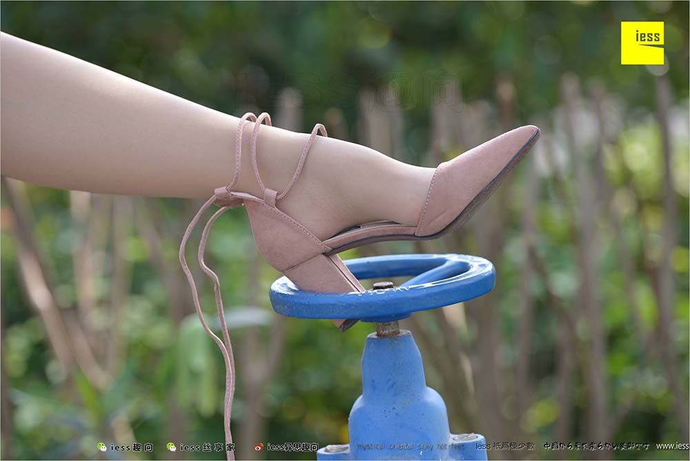 [IESS异思趣向] 2018.04.11 丝足便当215：《足鉴》馨月