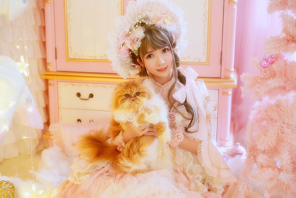 鳗鱼霏儿 – 猫 预览图 - 2