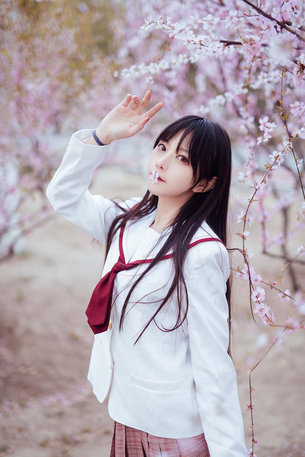 Shika小鹿鹿 – 樱花