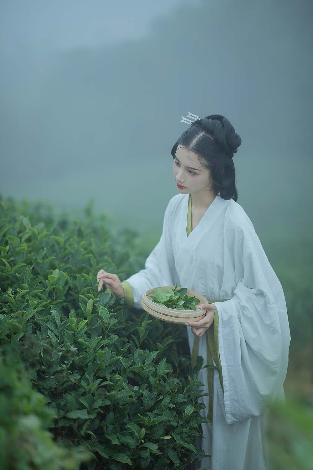 [YITUYU艺图语]2021.12.02 采茶女 十八重川
