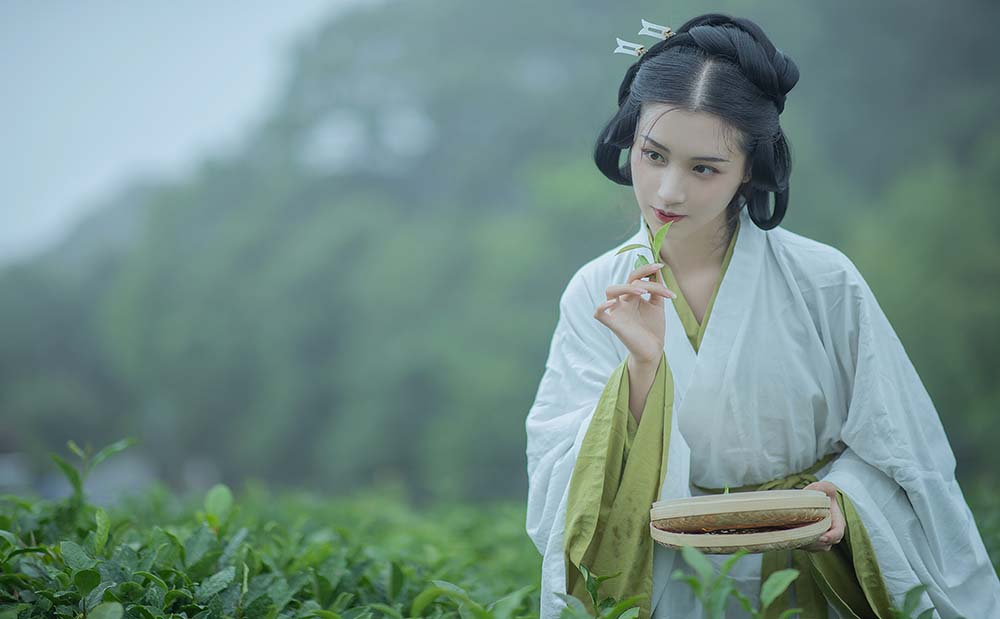 [YITUYU艺图语]2021.12.02 采茶女 十八重川 预览图 - 2
