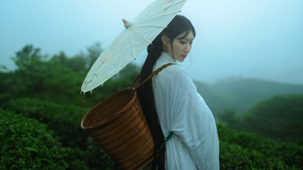 [YITUYU艺图语]2021.12.24 空山灵雨 初茶