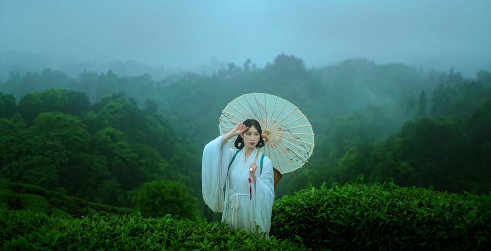 [YITUYU艺图语]2021.12.24 空山灵雨 初茶 预览图 - 2