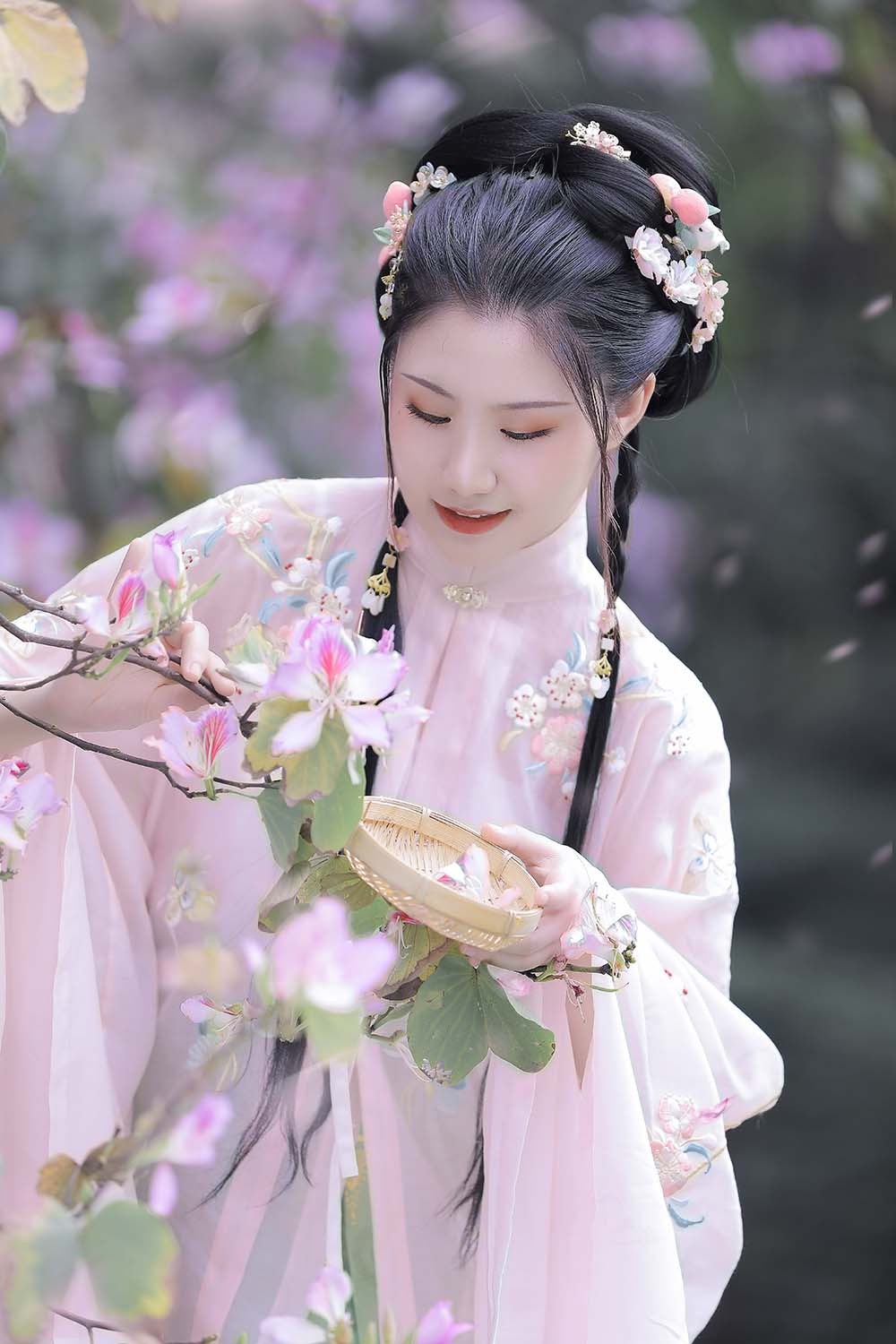 [YITUYU艺图语]2022.04.24 紫荆枝 木木
