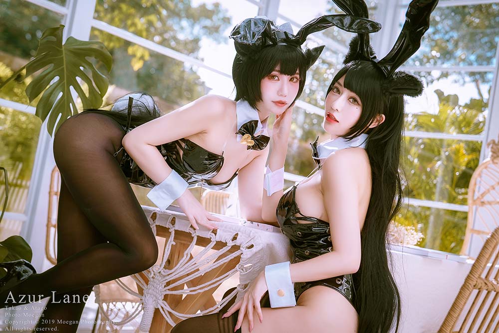 沖田凜花Rinka&甜心幫ღ安希&HedY – 瑞鳳と大鳳 Bunny suit ver 预览图 - 2