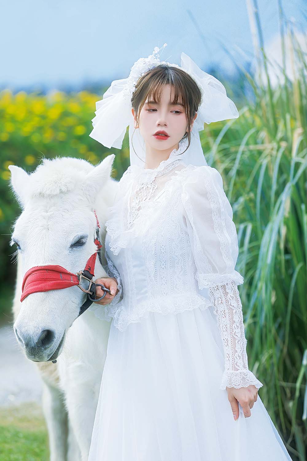 [YITUYU艺图语]2023.01.08 桑桑，我带你回家。林木婷子