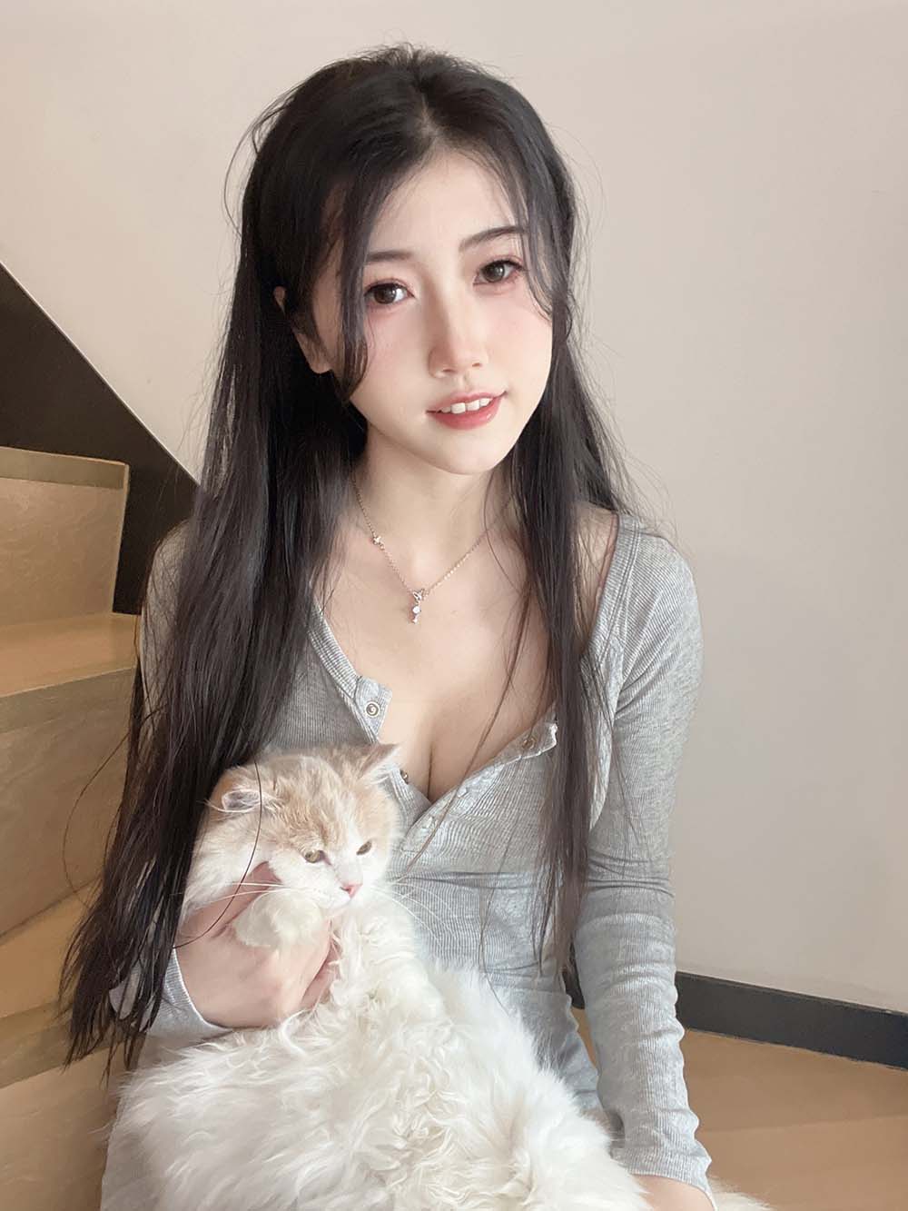 不呆猫 – 居家猫猫女友
