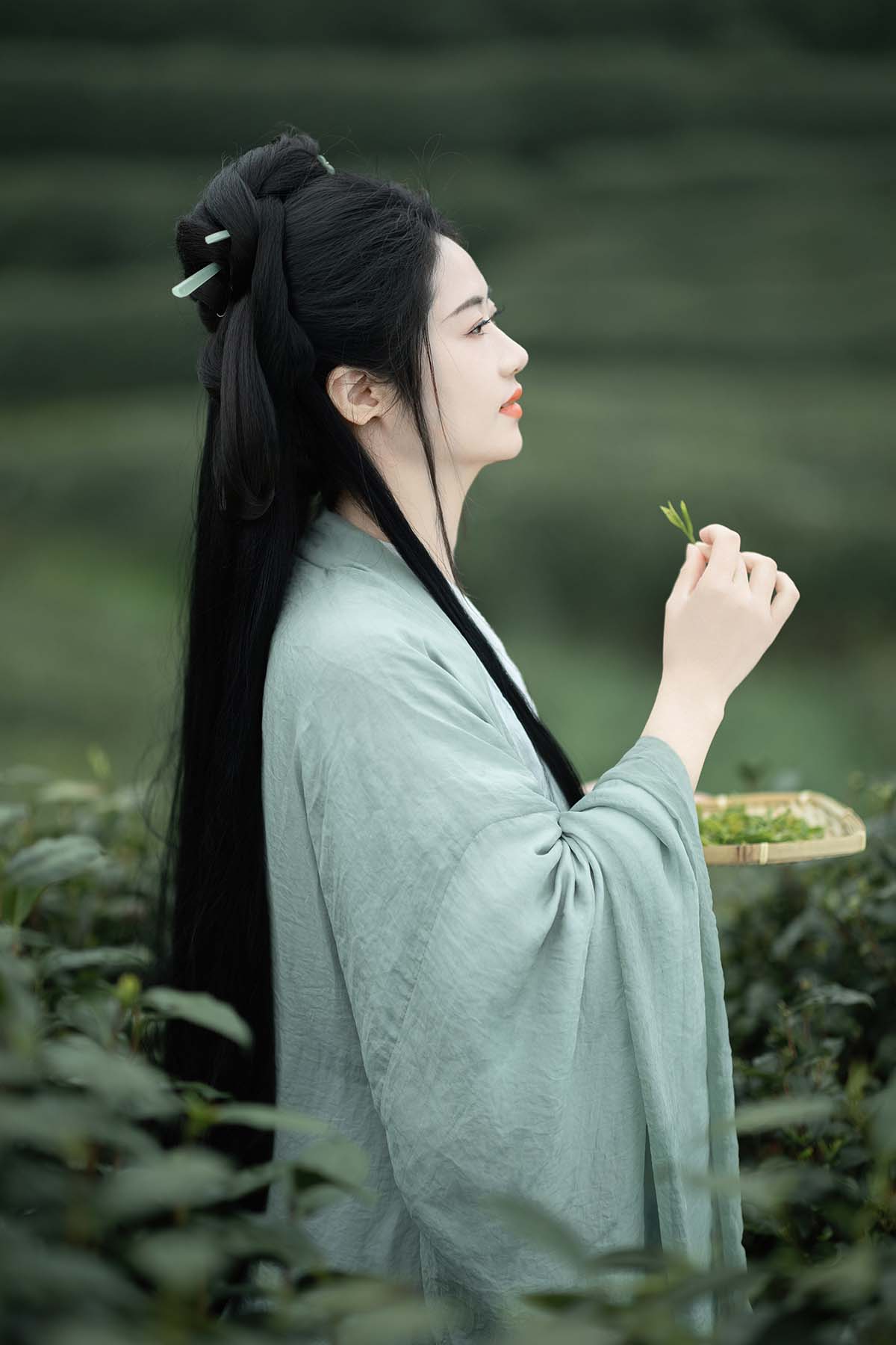 [YITUYU艺图语]2024.08.05 明前绿 慕夏