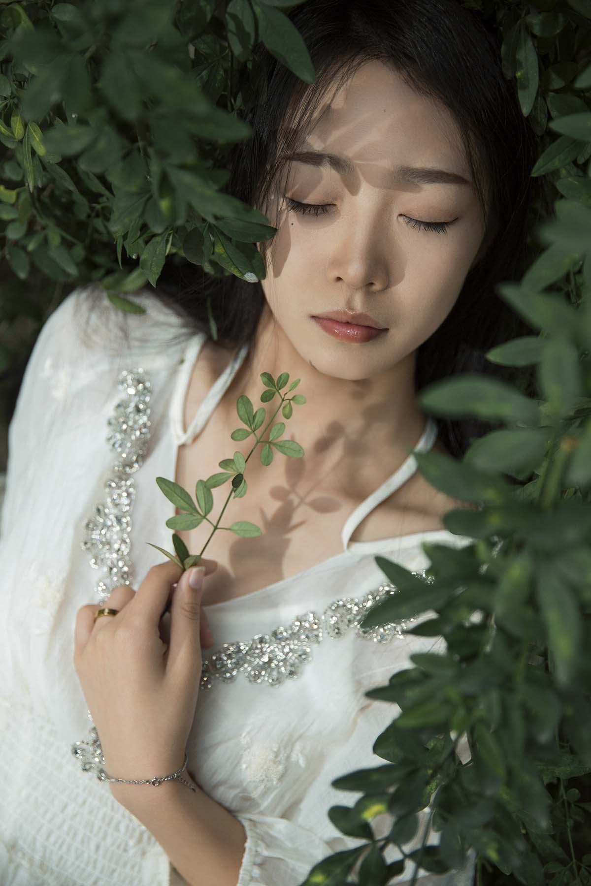 [YITUYU艺图语]2025.01.20 Nature 鑫鑫