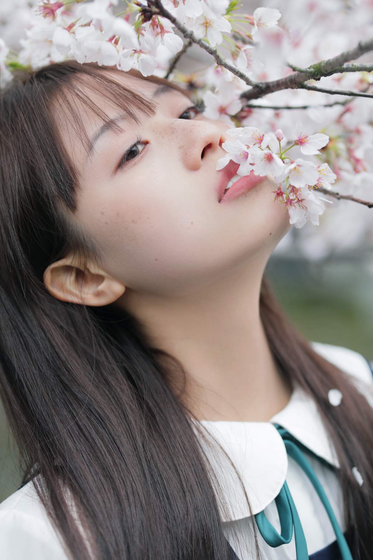 [YITUYU艺图语]2025.03.28 春日礼赞 小兹