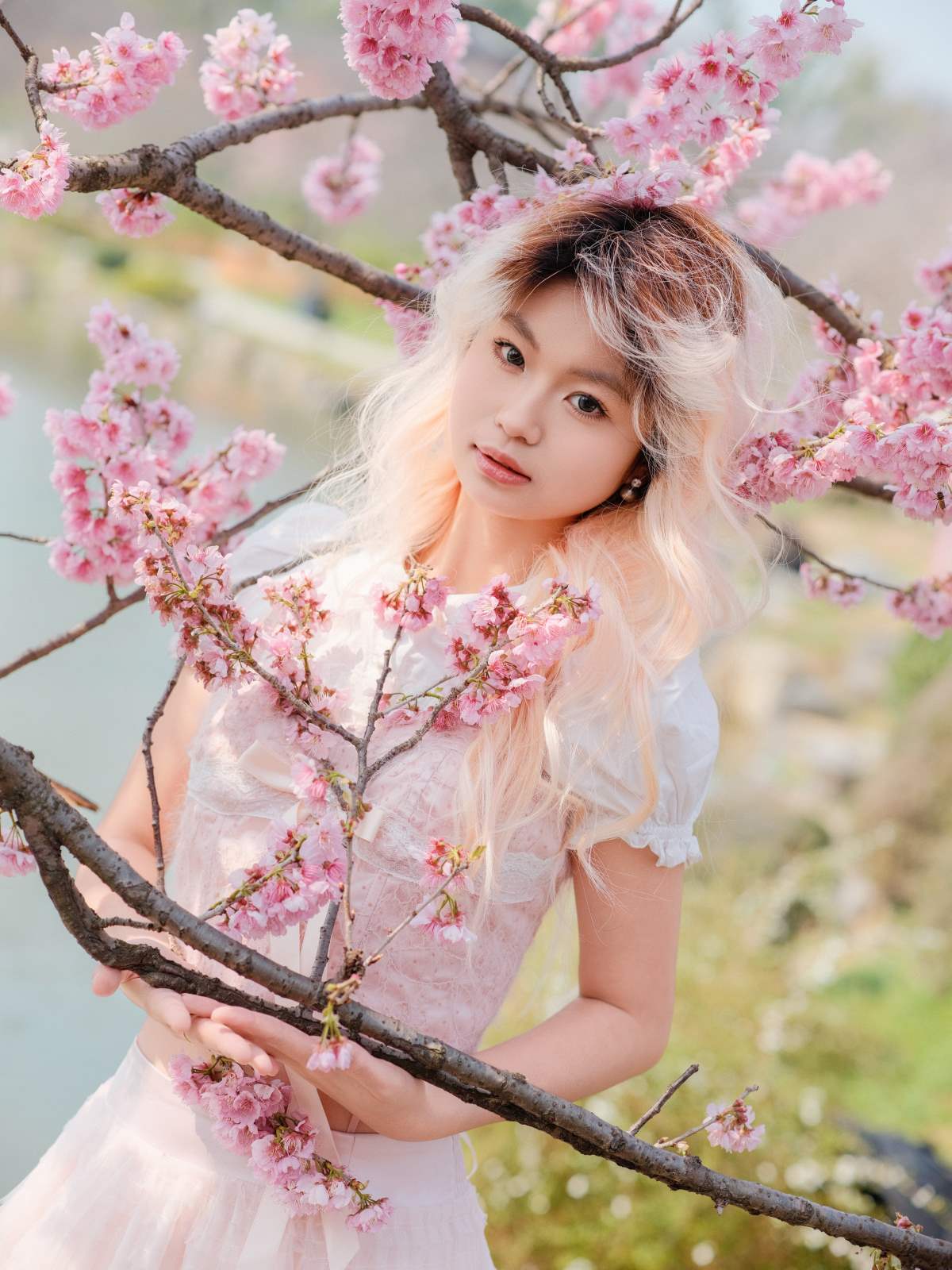 [YITUYU艺图语]2025.03.29 樱花树下 典典