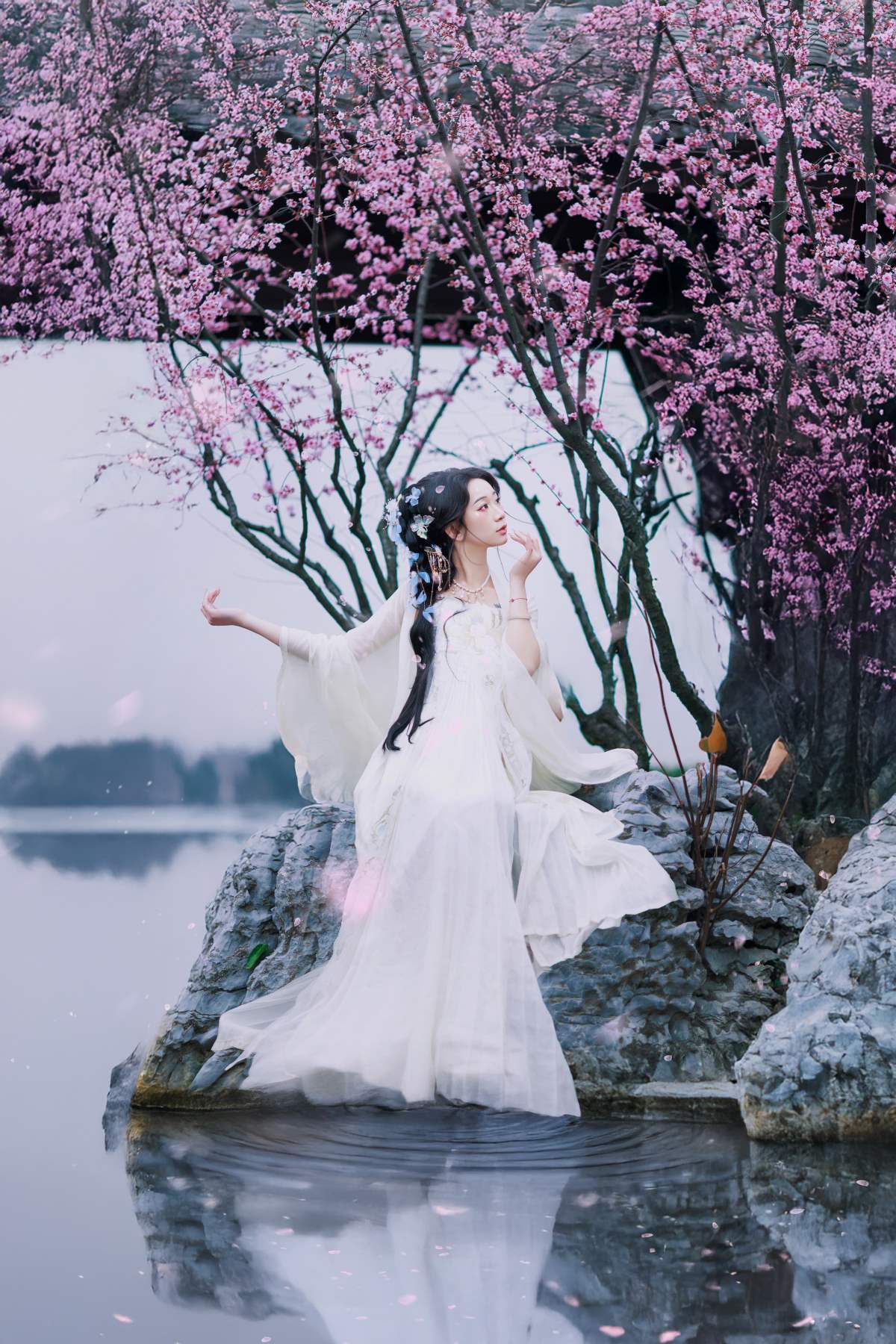 [YITUYU艺图语]2025.04.08 樱花落 瓯