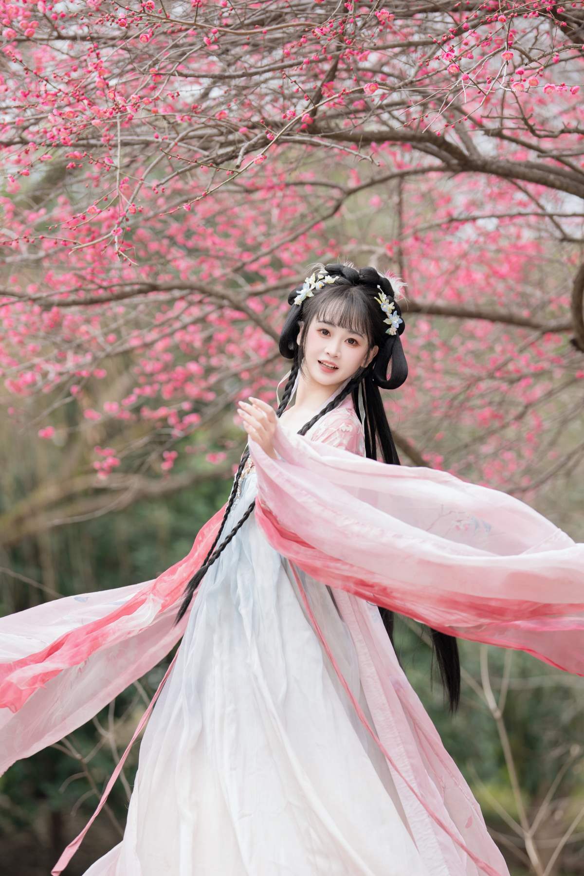 [YITUYU艺图语]2025.04.10 梅花盛开 湫一只岁岁