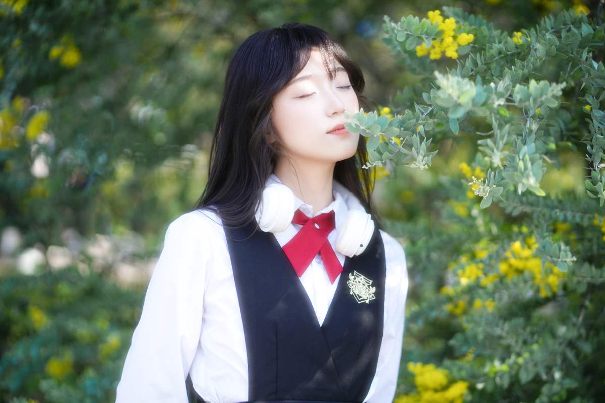 [YITUYU艺图语]2025.04.10 金合欢 梓榆喝点甜的呀