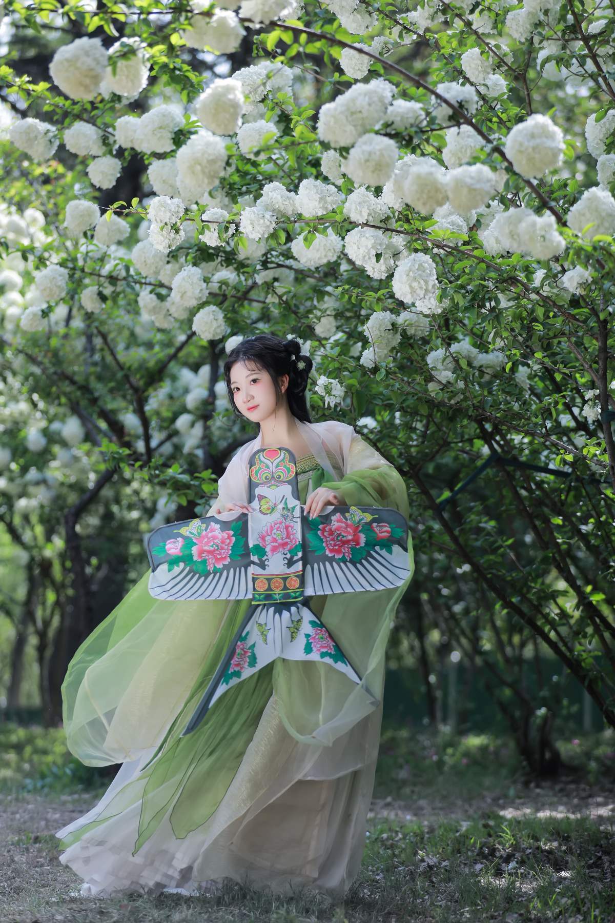 [YITUYU艺图语]2025.04.12 花如雪 小饼干