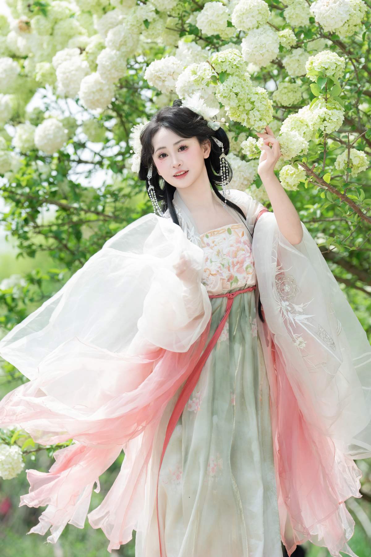 [YITUYU艺图语]2025.04.18 洁白绣球 湫一只岁岁