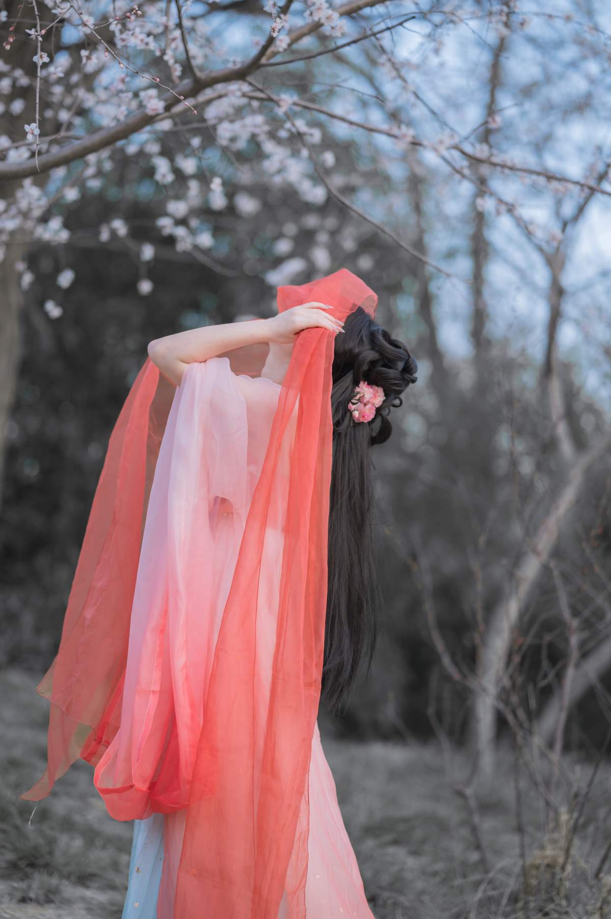 [YITUYU艺图语]2025.04.19 桃花夭夭 桂圆八宝粥 预览图 - 2