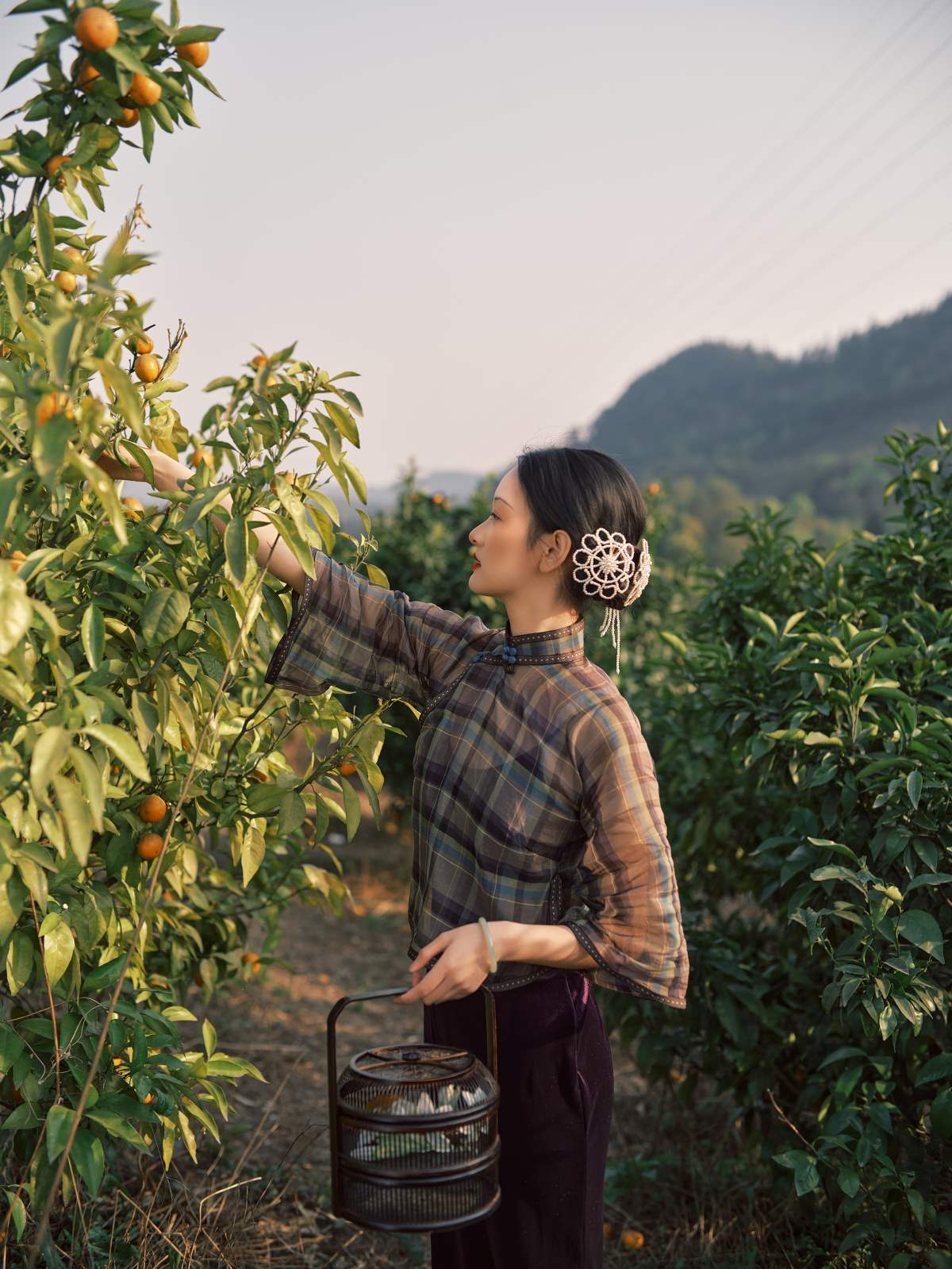 [YITUYU艺图语]2025.05.13 橘子熟了 妖怪哪里逃