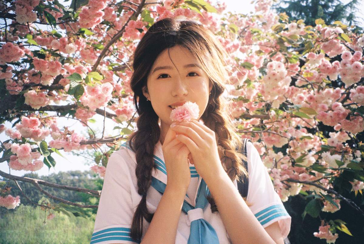 [YITUYU艺图语]2025.05.26 樱花物语 。