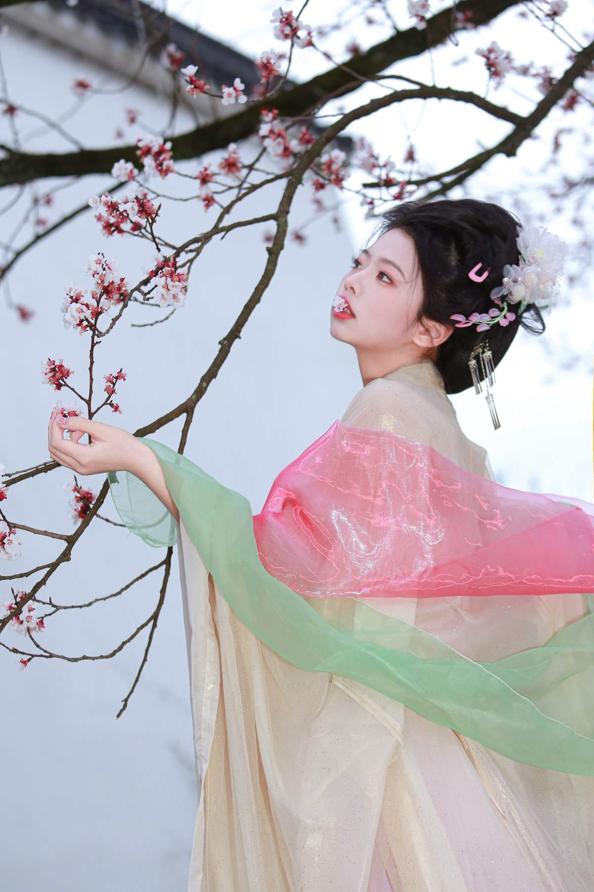 [YITUYU艺图语]2025.06.01 山茶花神 肥肥