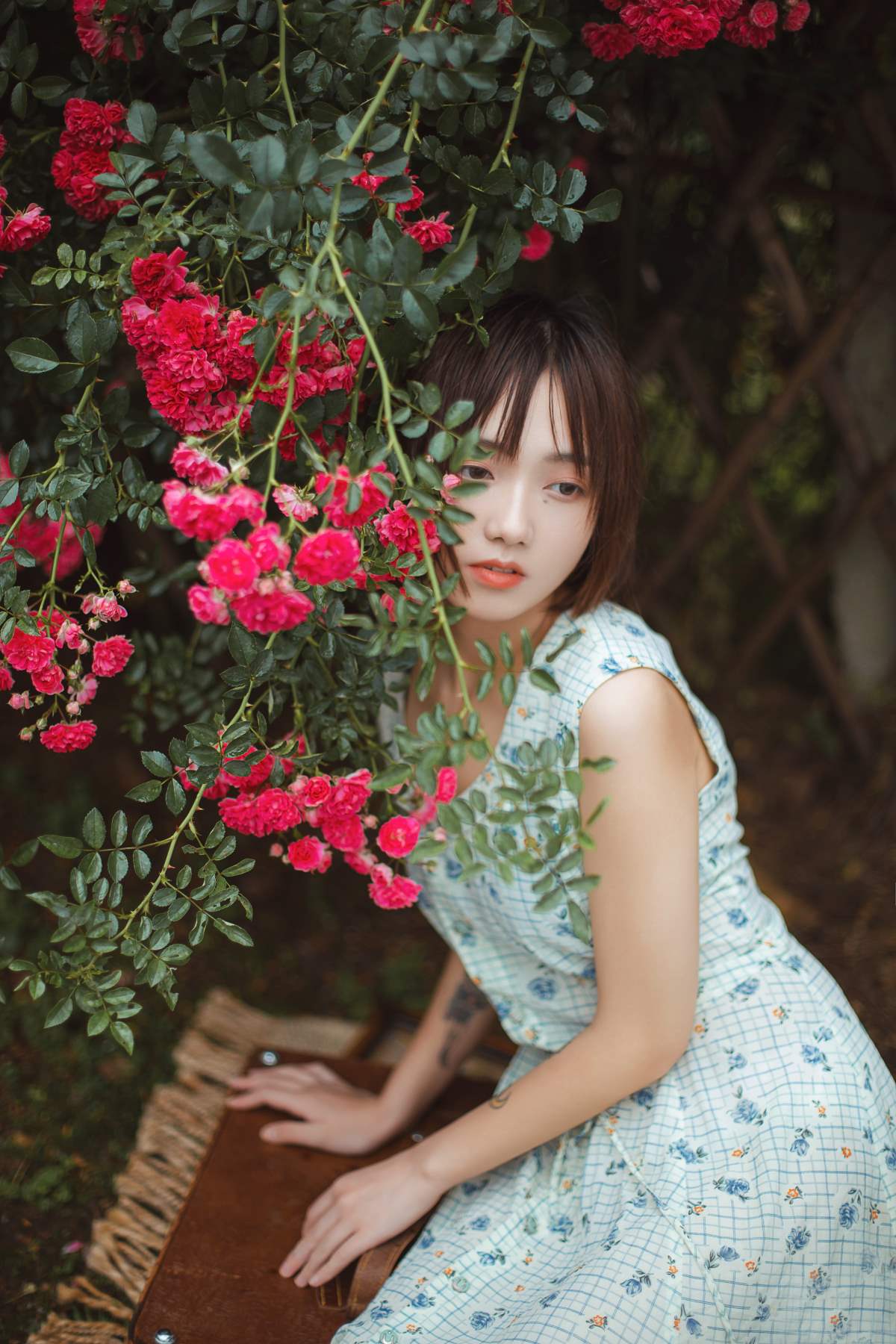 [YITUYU艺图语]2025.06.03 青雉 echo