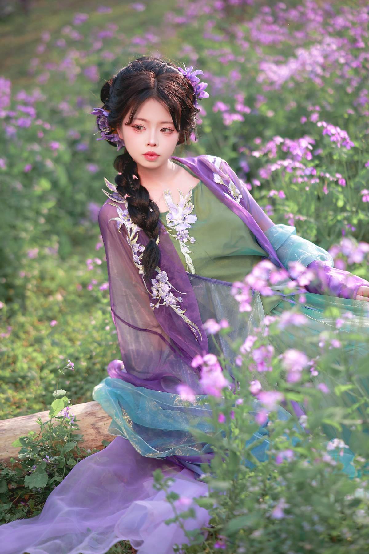 [YITUYU艺图语]2025.06.13 二月兰 肥肥