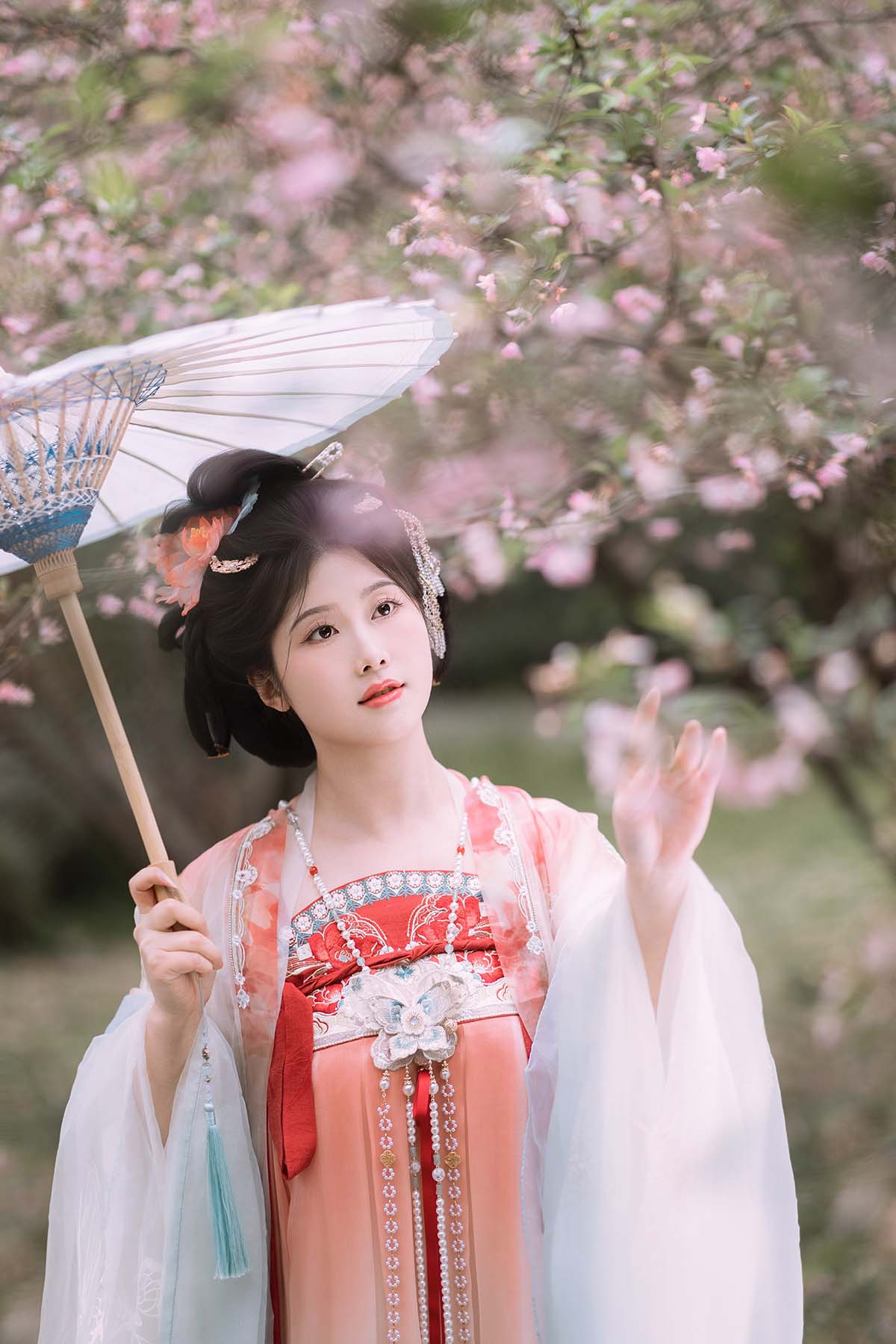 [YITUYU艺图语]2025.06.21 海棠春色 静若初夏