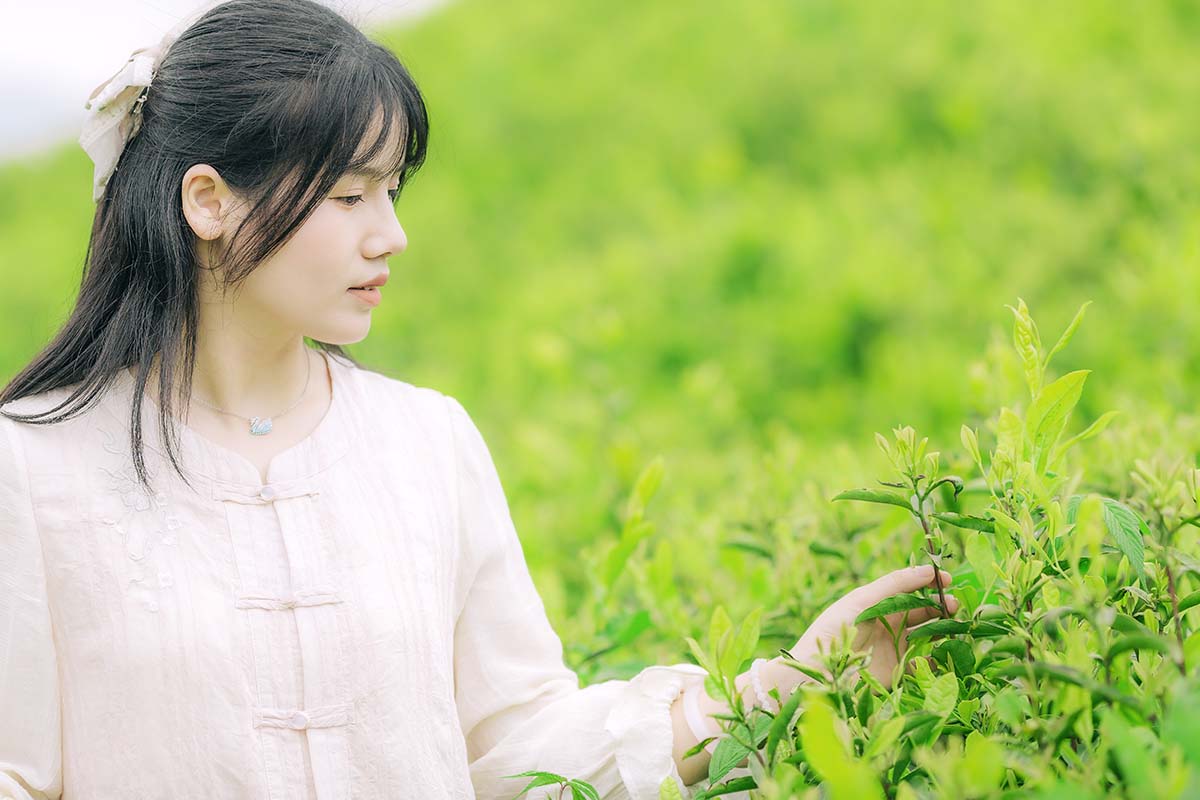 [YITUYU艺图语]2025.06.24 茶山行 般若 预览图 - 2