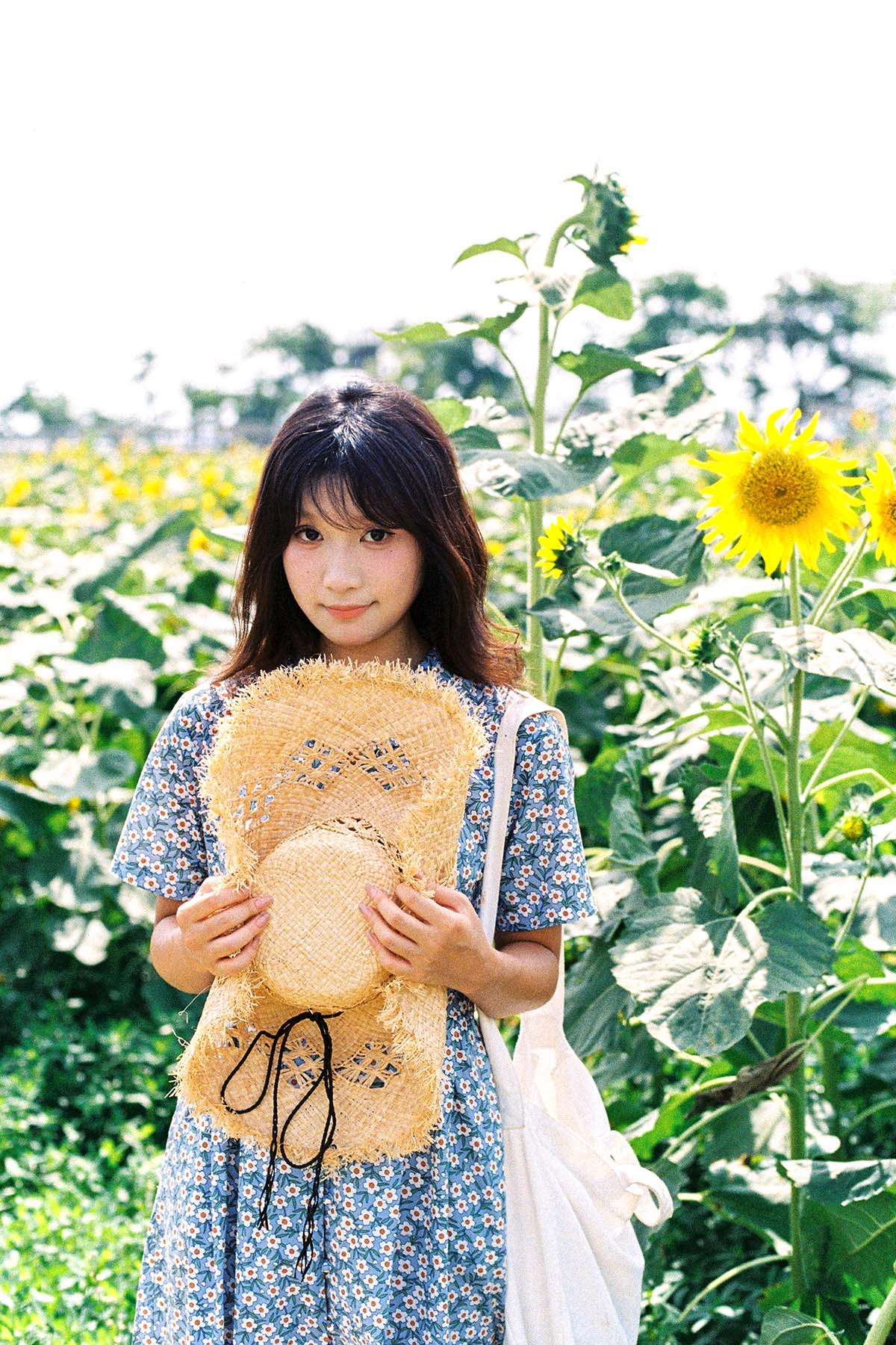 [YITUYU艺图语]2025.06.25 向日葵的花语 沐沐