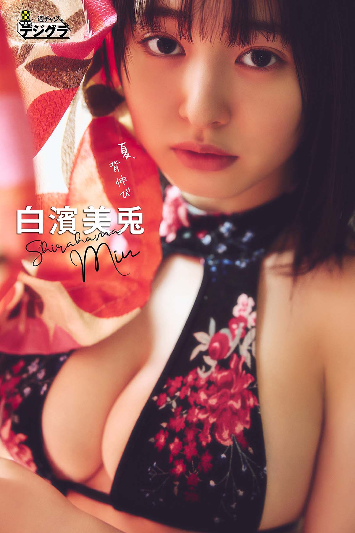 白濱美兎 – 夏、背伸び