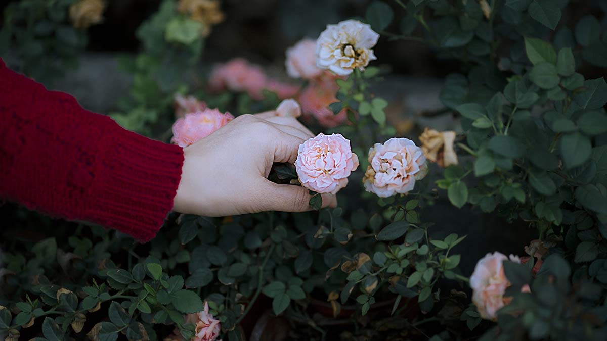 [YITUYU艺图语]2025.06.30 那一片光 梓琪