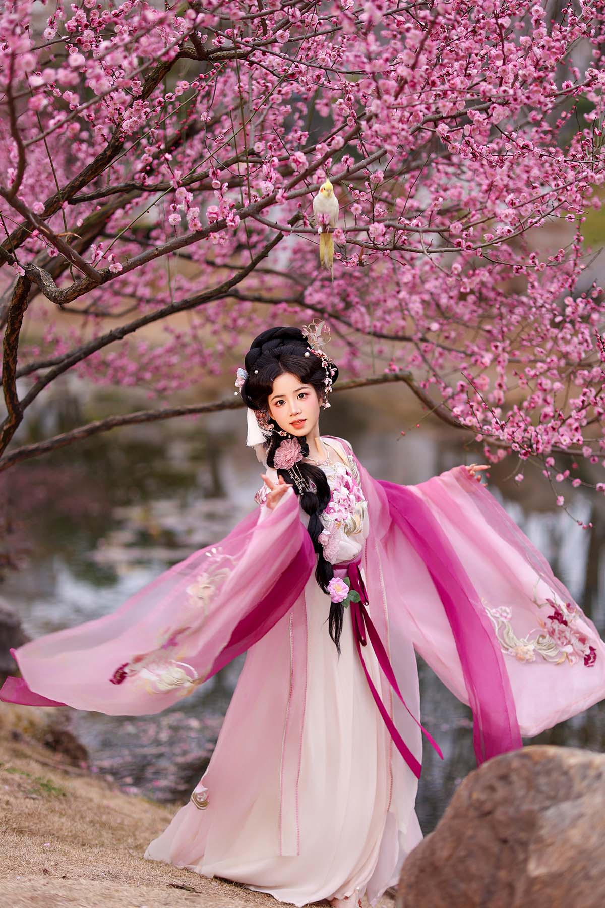 [YITUYU艺图语]2025.07.01 芍药 小杜同学