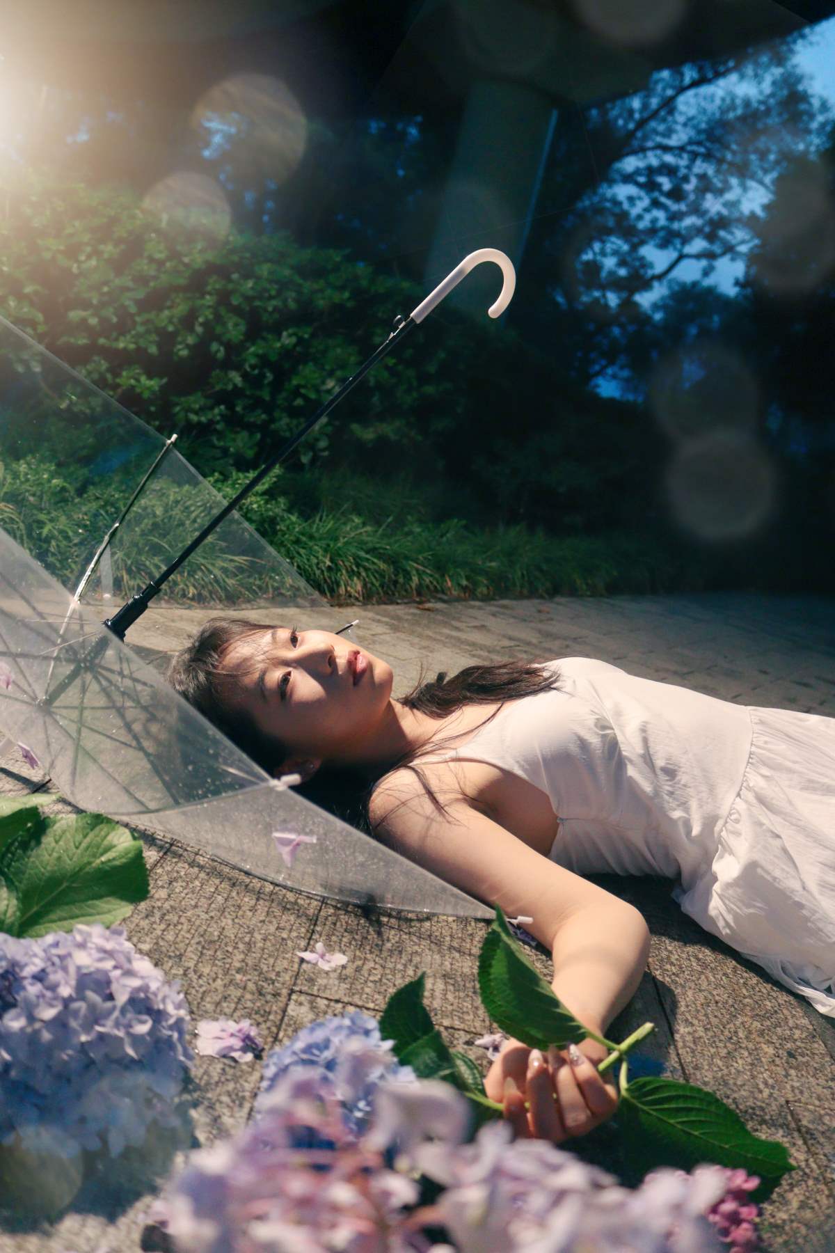 [YITUYU艺图语]2025.07.13 雨中绣球 桃一