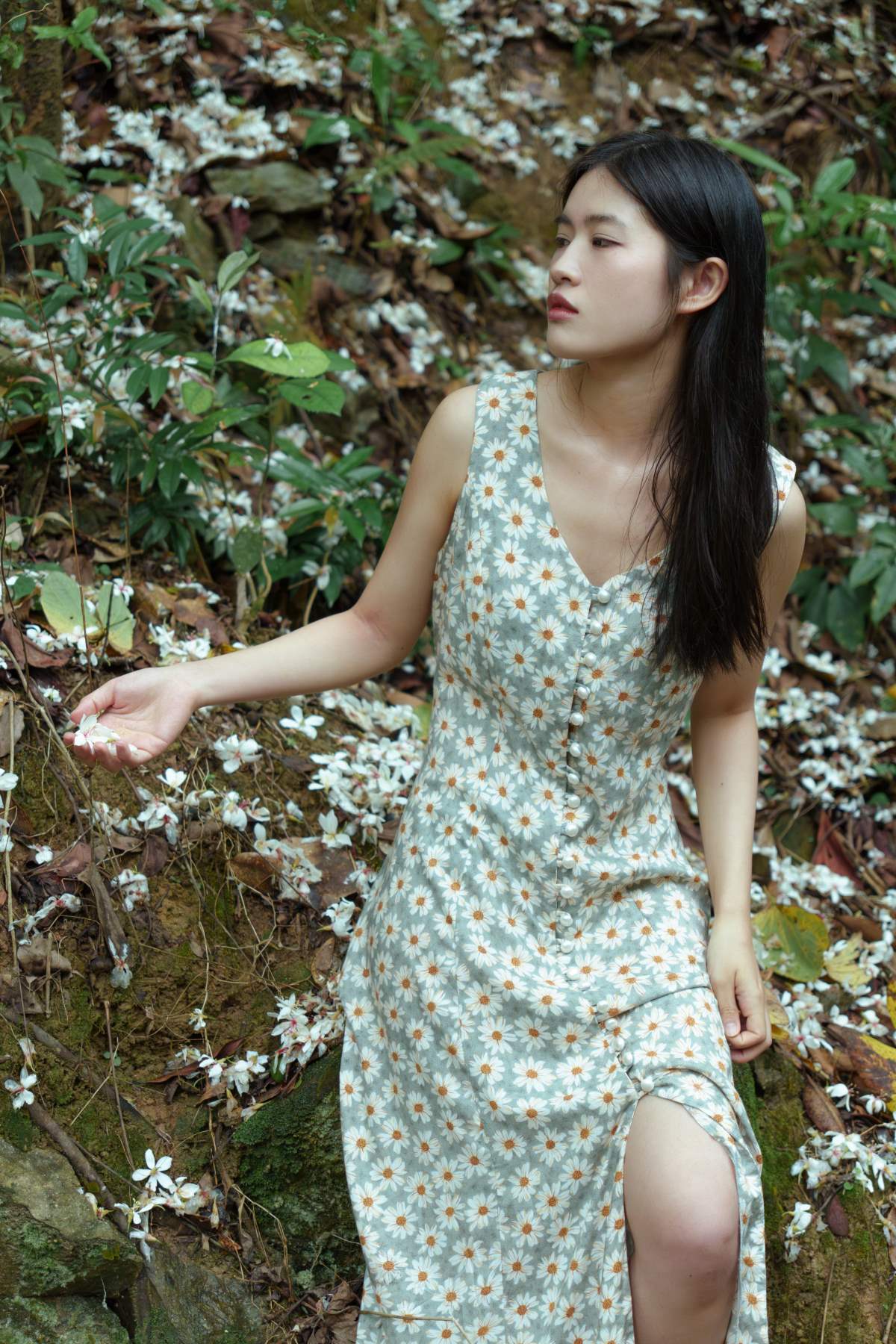 [YITUYU艺图语]2025.07.14 夏天来临前的天竺山 芦苇微微