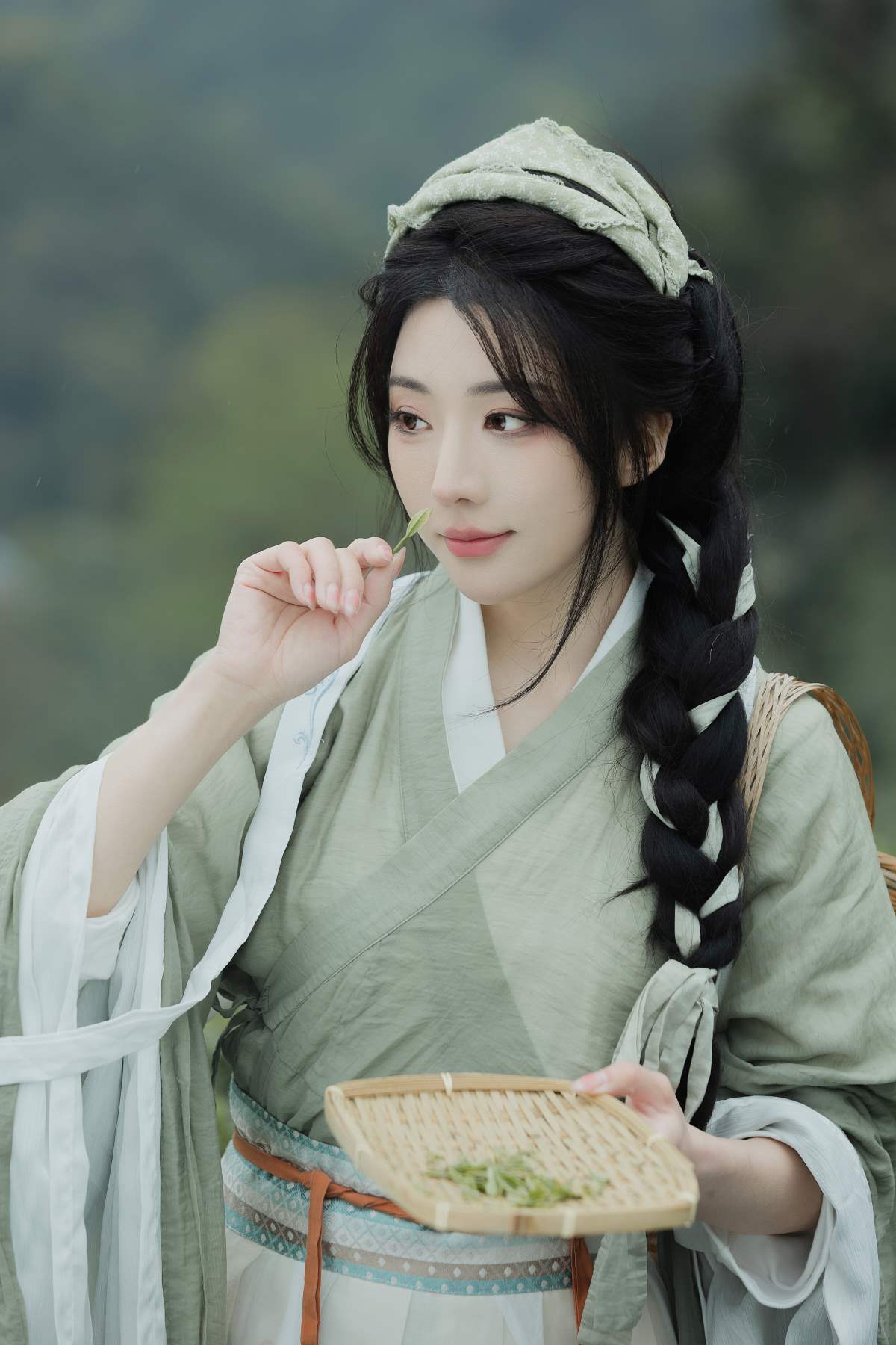 [YITUYU艺图语]2025.07.26 采茶 是南渊不是洲