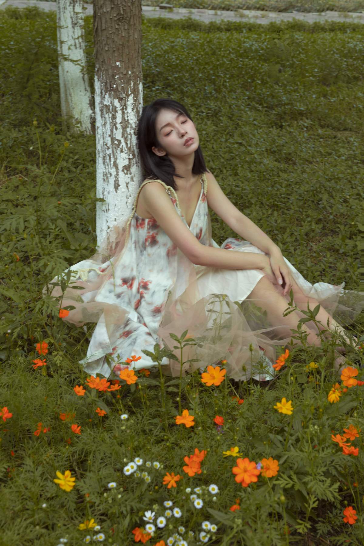 [YITUYU艺图语]2025.08.19 如花在野 ahs
