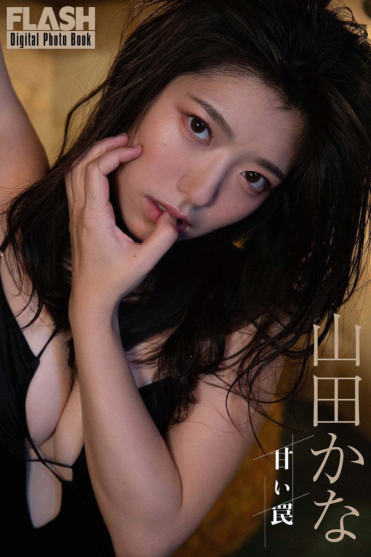 山田かな – 甘い罠 预览图 - 1 山田かな – 甘い罠 预览图 - 1