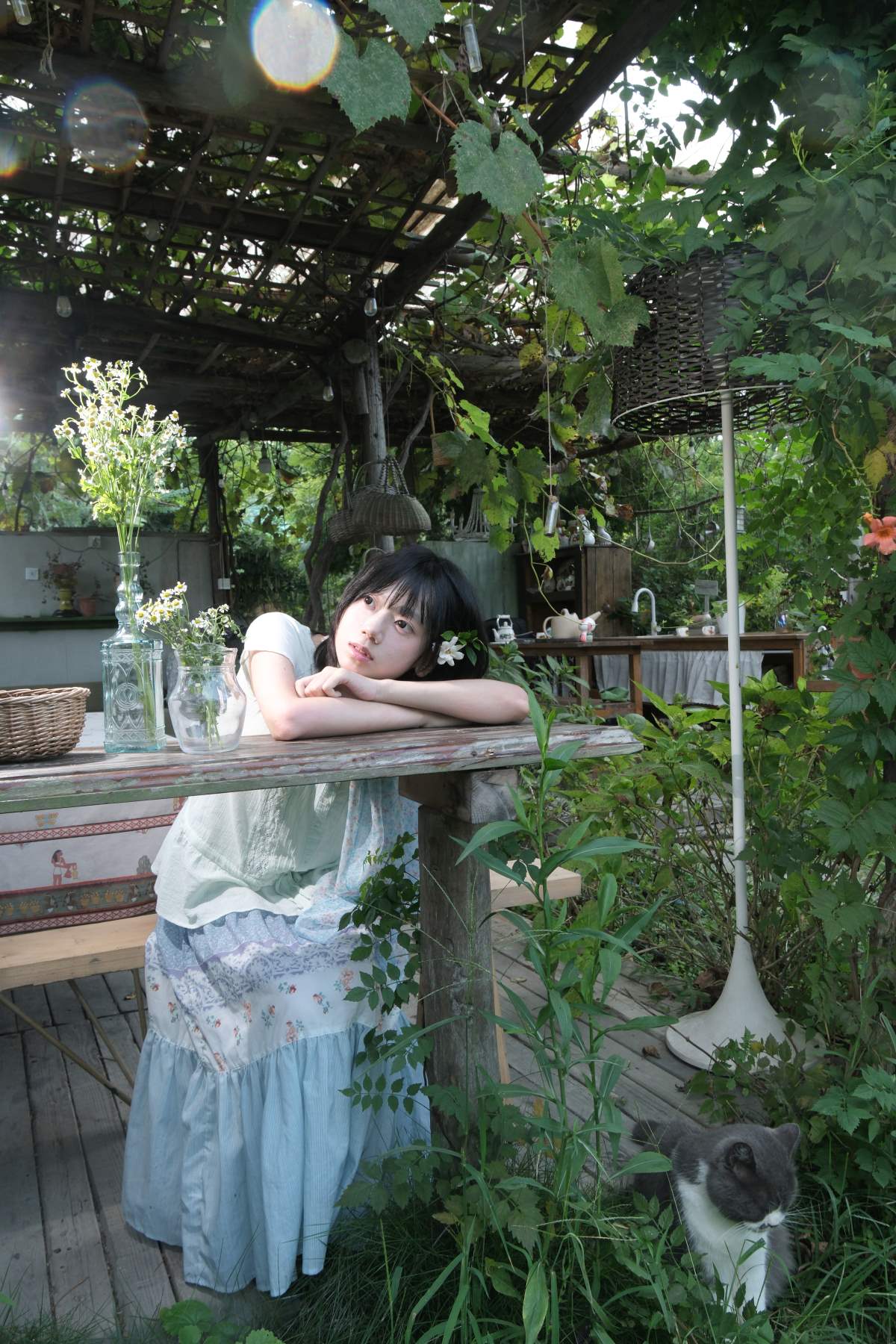 [YITUYU艺图语]2026.02.01 夏天周而复始