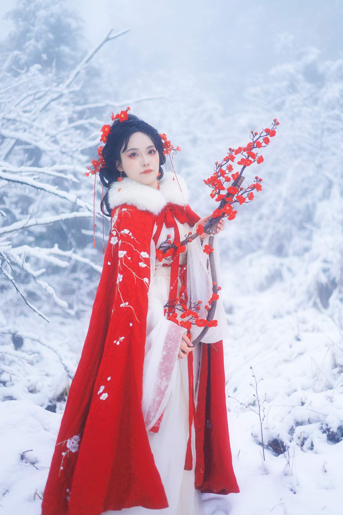 [YITUYU艺图语]2026.02.03 踏雪寻梅